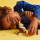 LEGO Minecraft 21251 Pustynna wyprawa Steve’a - 1202259 - zdjęcie 7